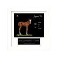 Load image into Gallery viewer, Prince of Monaco X Lazara '26 - Breeder's Photo