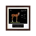 Load image into Gallery viewer, Prince of Monaco X Lazara '26 - Breeder's Photo