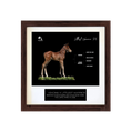 Load image into Gallery viewer, Vekoma X Littlest Warrior '26 - Breeder's Photo