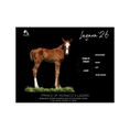 Load image into Gallery viewer, Prince of Monaco X Lazara '26 - Breeder's Photo