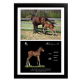 Load image into Gallery viewer, Vekoma X Littlest Warrior '26 - Collage Frame