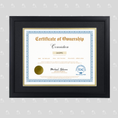 Load image into Gallery viewer, Conviction Certificate of Ownership