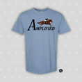 Load image into Gallery viewer, Amplified Unisex - Comfort Colors Heavy Weight T-Shirt