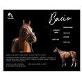 Load image into Gallery viewer, Bacio Owner Photo
