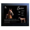 Load image into Gallery viewer, Bacio Owner Photo