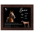 Load image into Gallery viewer, Bacio Owner Photo