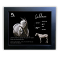 Load image into Gallery viewer, Caldera Owner Photo