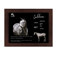 Load image into Gallery viewer, Caldera Owner Photo