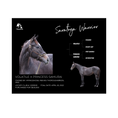 Load image into Gallery viewer, Saratoga Warrior Owner Photo
