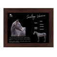 Load image into Gallery viewer, Saratoga Warrior Owner Photo