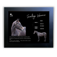 Load image into Gallery viewer, Saratoga Warrior Owner Photo