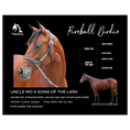 Load image into Gallery viewer, Fireball Birdie Owner Photo