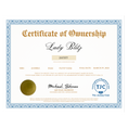 Load image into Gallery viewer, Lady Blitz Certificate of Ownership