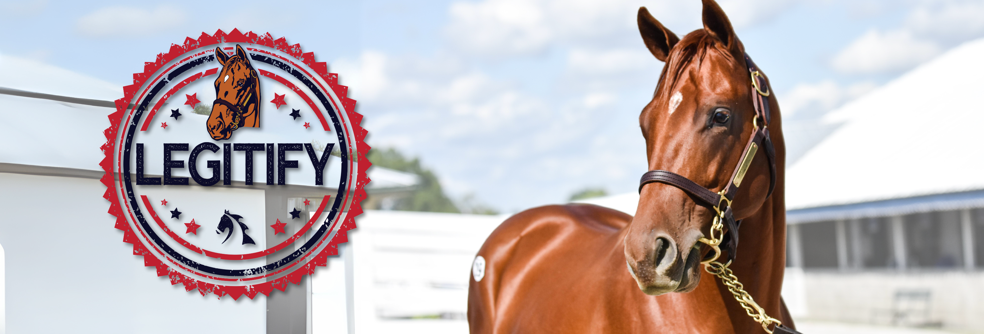 Legitify 2 – MyRacehorse Shop