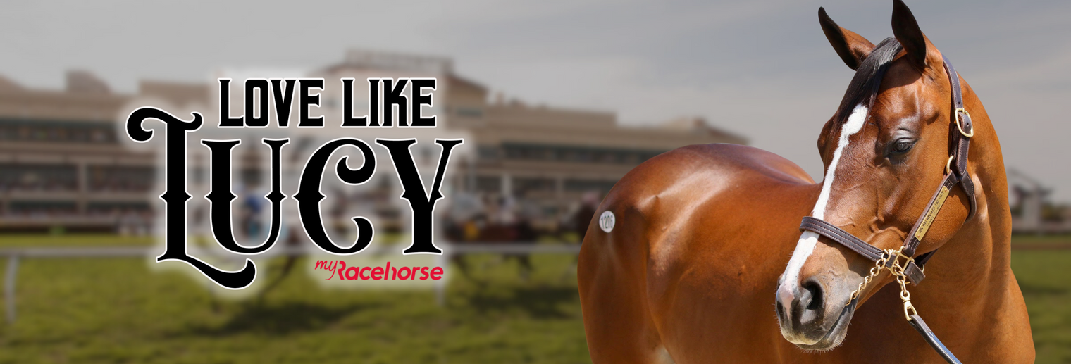 Love Like Lucy – Page 3 – MyRacehorse Shop