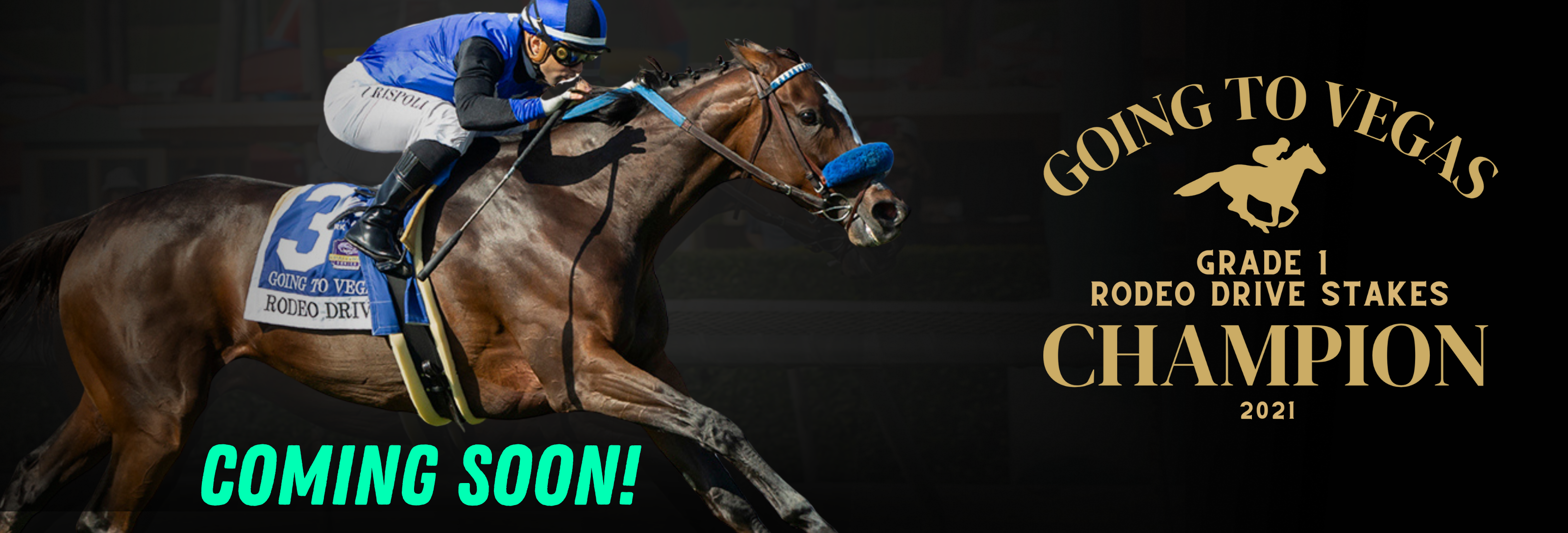 Going to Vegas - Rodeo Drive Stakes 2021 – MyRacehorse Shop