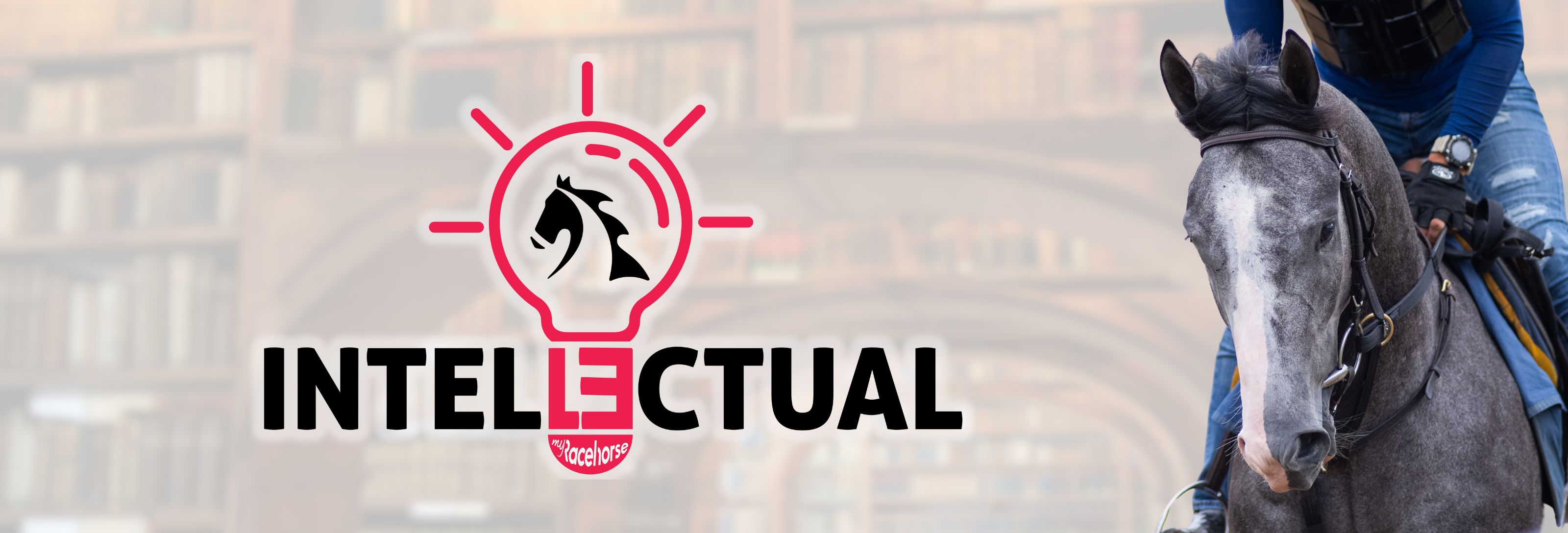 Intellectual – MyRacehorse Shop