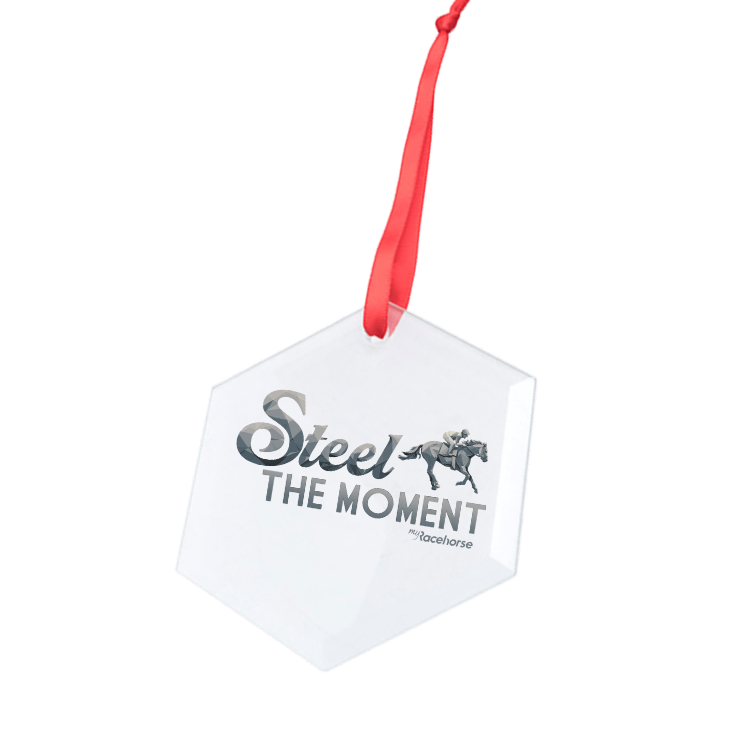 Steel the Moment Hexagonal Glass Ornament