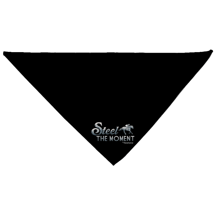 Steel the Moment Dog Bandana