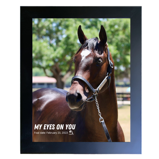 My Eyes on You Portrait Photo