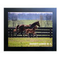 Load image into Gallery viewer, Seize the Grey X Community Adjusted 26' Candid Photo

