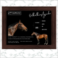 Load image into Gallery viewer, Sam Houston Racing Club - Onthethirstyside Owner Photo
