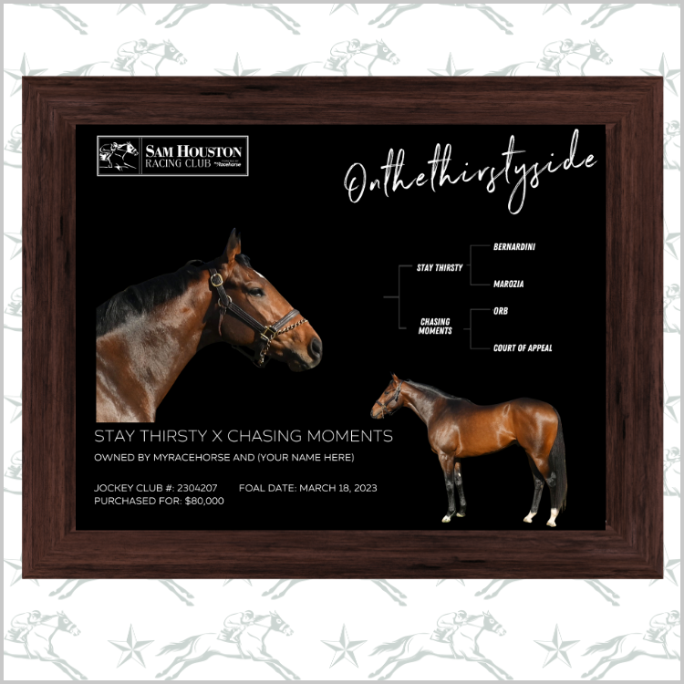 Sam Houston Racing Club - Onthethirstyside Owner Photo