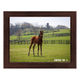 Load image into Gallery viewer, Seize the Grey X Sintra 26' Candid Photo
