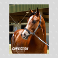 Load image into Gallery viewer, Conviction Portrait Photo
