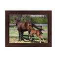 Load image into Gallery viewer, Vekoma X Littlest Warrior 26' Candid Photo
