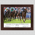 Load image into Gallery viewer, Bacio Nunthorpe Stakes - Custom Winner's Photo #2
