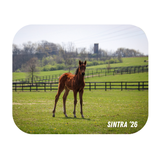 Seize the Grey X Sintra '26 - Mouse Pad