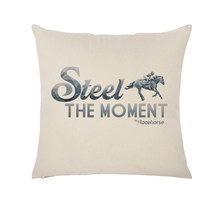 Steel the Moment Throw Pillow Case