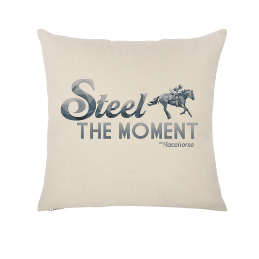 Steel the Moment Throw Pillow Case