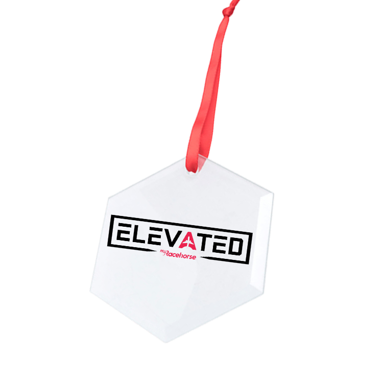 Elevated Hexagonal Glass Ornament