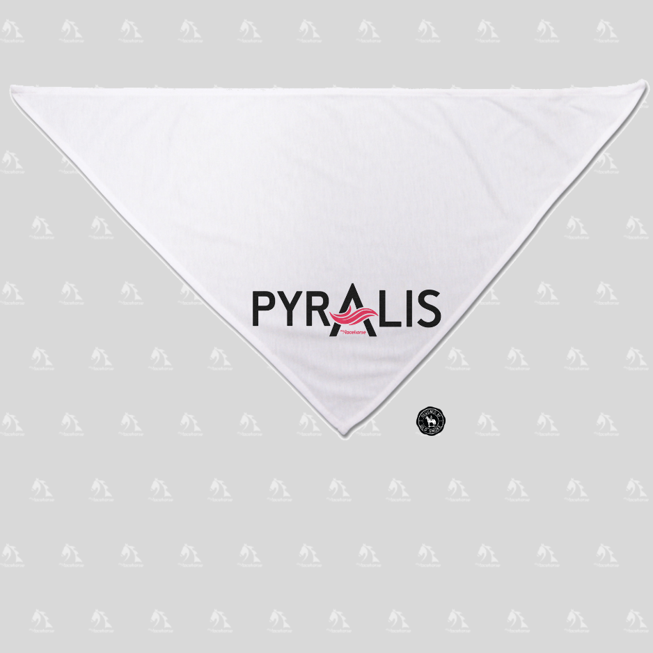 Pyralis Dog Bandana