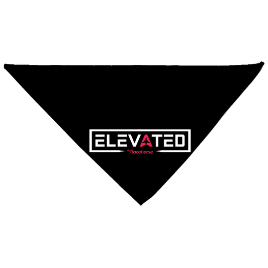 Elevated Dog Bandana