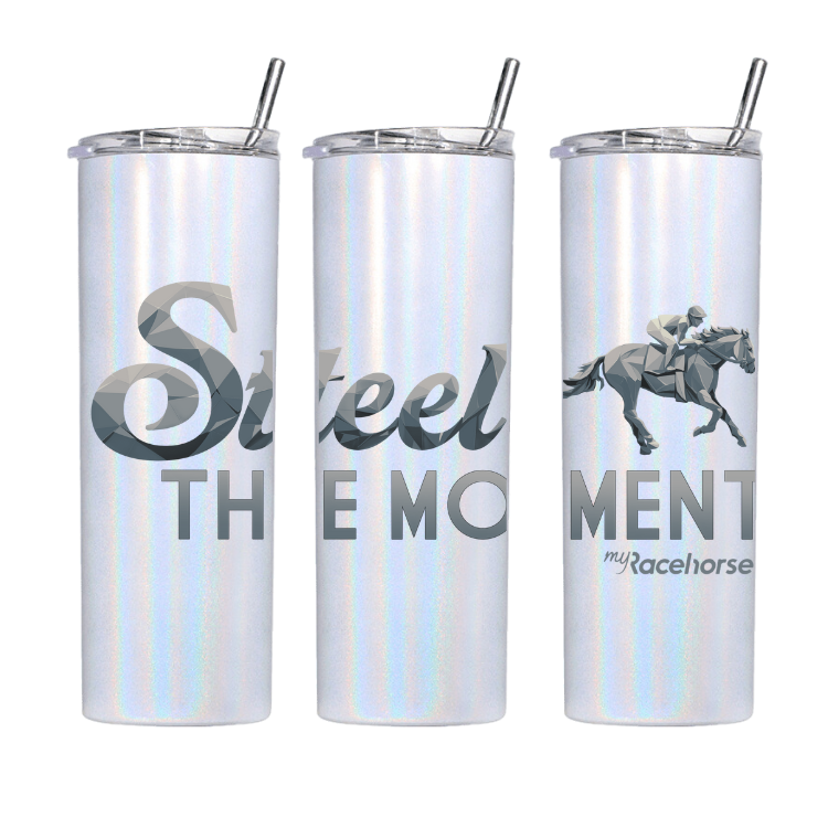 Steel the Moment Tumbler