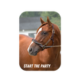 Load image into Gallery viewer, Start the Party Rectangular Magnet
