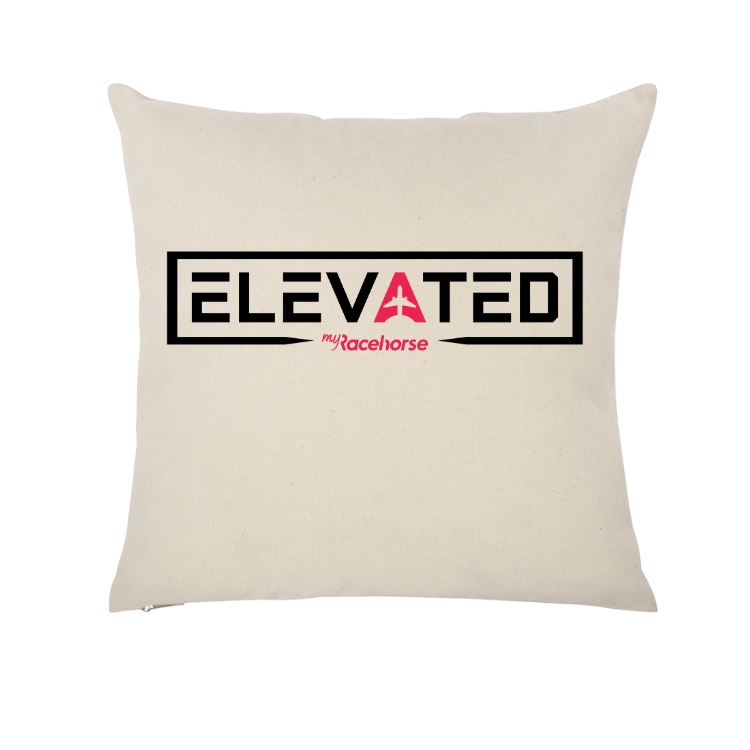 Elevated Throw Pillow Case