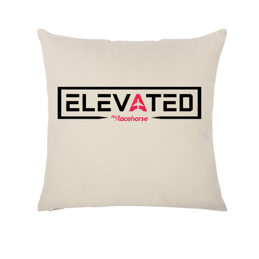Elevated Throw Pillow Case