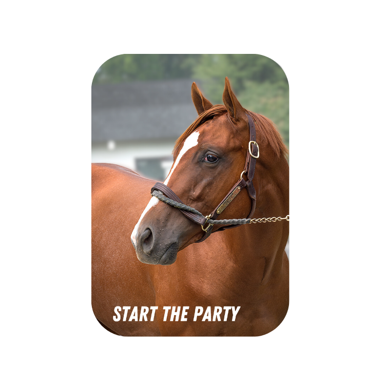 Start the Party Rectangular Magnet
