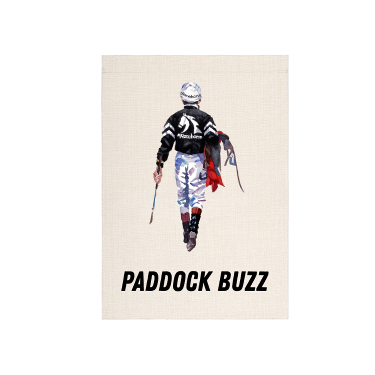 Paddock Buzz Garden Flag
