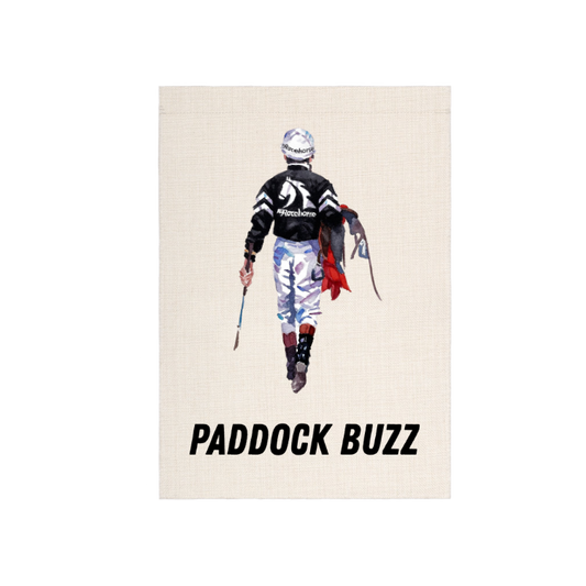 Paddock Buzz Garden Flag