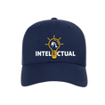 Load image into Gallery viewer, Intellectual Velocity Performance Hat
