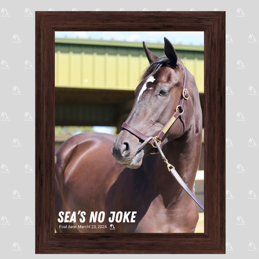 Sea's No Joke Portrait Photo