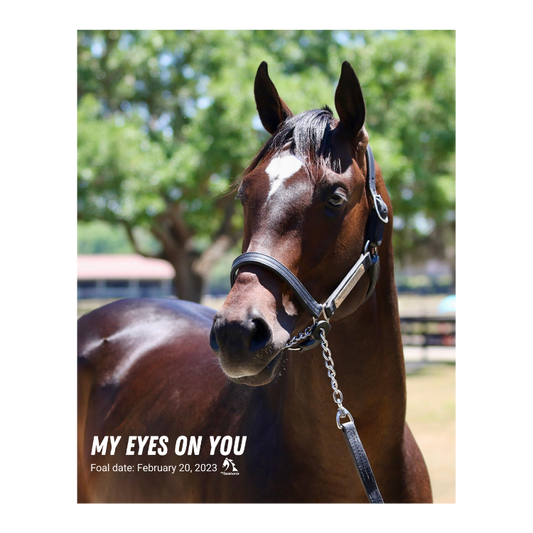 My Eyes on You Portrait Photo