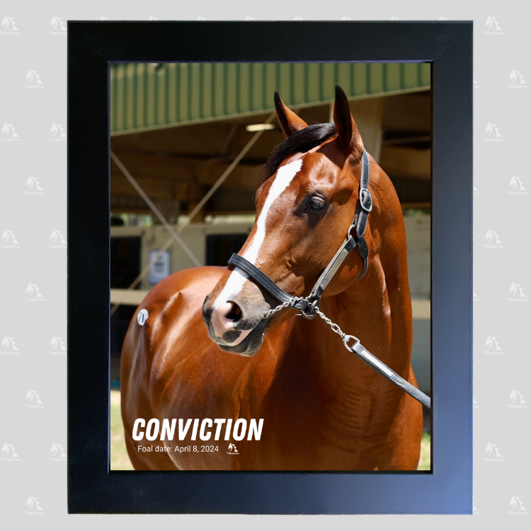 Conviction Portrait Photo