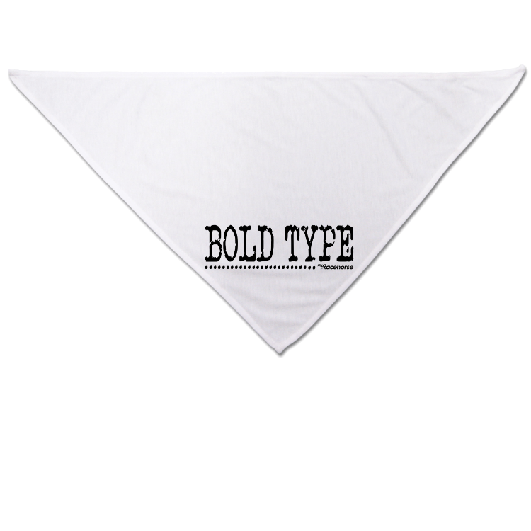 Bold Type Dog Bandana