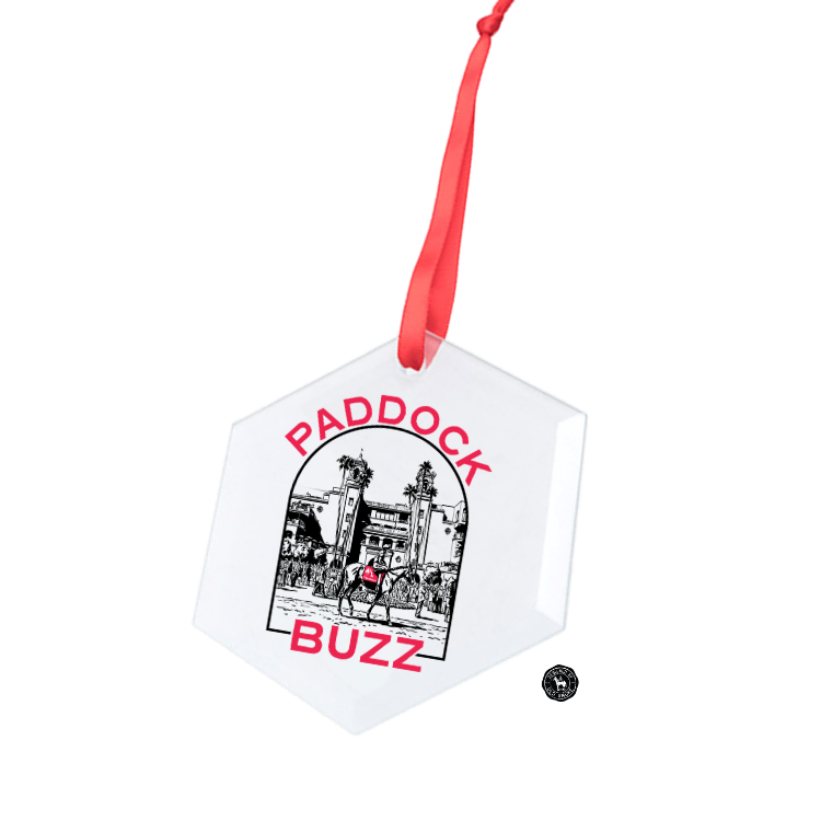 Paddock Buzz Hexagonal Glass Ornament